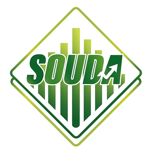Sauda Investment Consultant